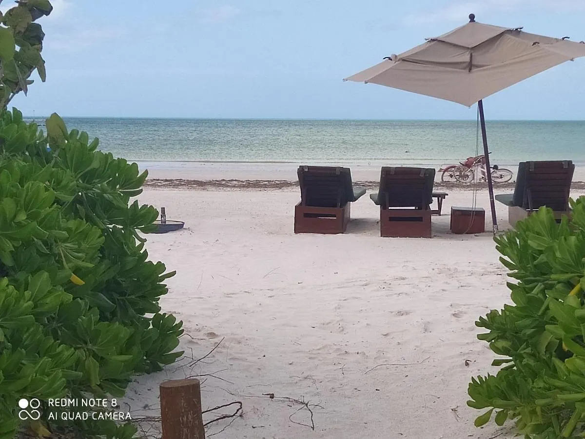 Mi Habitat Holbox-Maravilla Natural Mexikó
