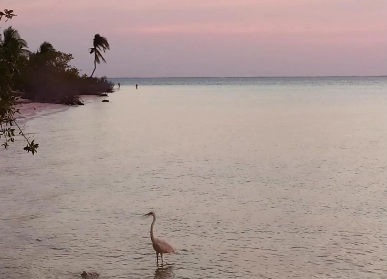 Mi Habitat Holbox-Maravilla Natural 0*, Isla Holbox